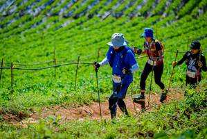 BIB: 1445
                            <button type="button" onclick="openModal(19164198)" class="btn btn-primary btn-sm float-right btn-popup" data-toggle="modal" data-target=".modal-high-quality">
                        <i class="fas fa-shopping-cart"></i> Add to Cart
                    </button>
                                            <button type="button" onclick="isThisMe(19164198, true)" class="btn btn-success btn-sm float-right btn-popup btn-isme hidden" data-toggle="tooltip" data-placement="bottom" title="นี่คือรูปของคุณใช่ไหม คลิกที่นี่เพื่อเอาเข้าอัลบั้ม">
                        <i class="fas fa-plus"></i> Add to album
                    </button>
                    <button type="button" onclick="isThisMe(19164198, false)" class="btn btn-warning btn-sm float-right btn-popup btn-isnotme hidden">
                        <i class="fas fa-ban"></i> Remove from album
                    </button>